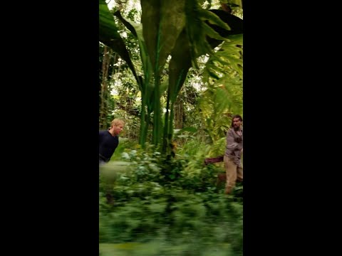 No more krill-brained ideas!💡#Aquaman and The Lost Kingdom #JasonMomoa #PrimeVideo