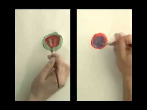 Diffie Hellman Key Exchange by khan academy