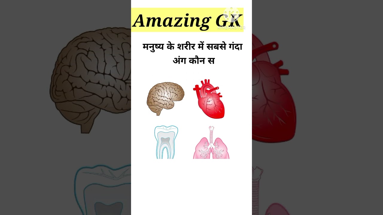 GK Short Video in Hindi | Science & Facts 🧠