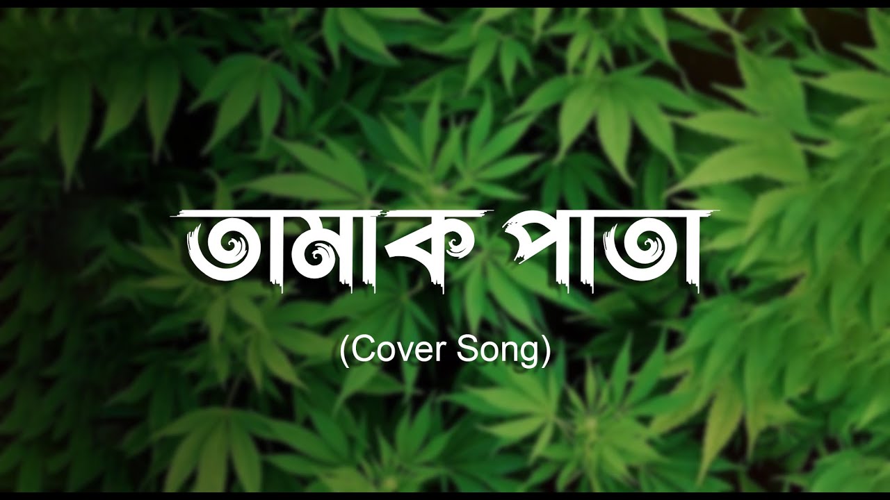 Tamak Pata Cover by Ashes 🎶