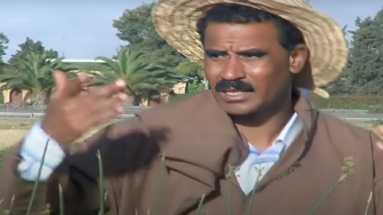 Al Alami - Ach Dani Lmdina | Moroccan Rai & Chaabi 🎶