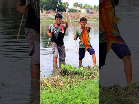best amazing fishing #shorts #fish #funny #viral