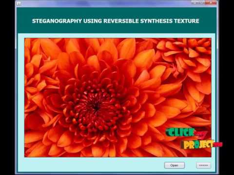 Steganography Using Reversible Texture Synthesis | Final Year Projects 2016