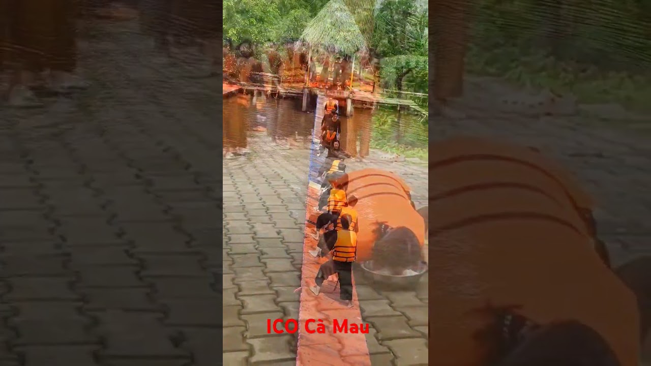 Vui Cùng Cô Trò ICO 🇰🇷