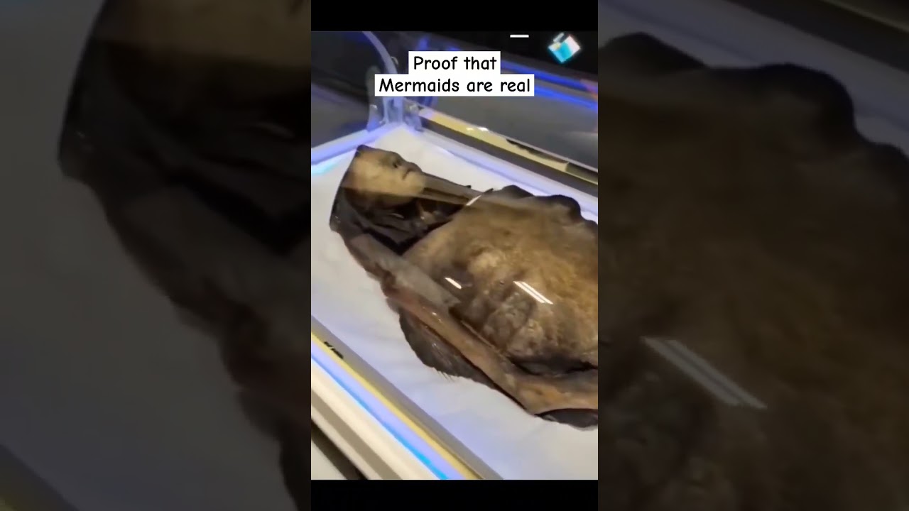 Do You Believe in Mermaids? π§ββοΈ