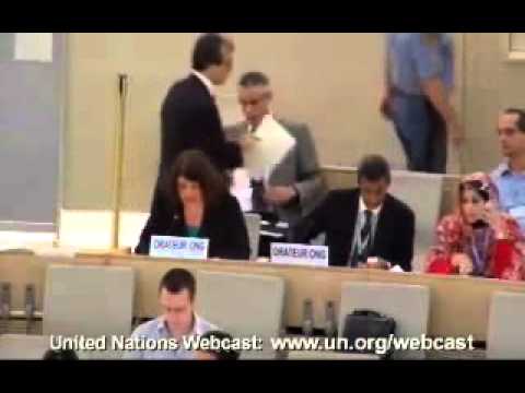 Uyghur Culture & Issues Overview π