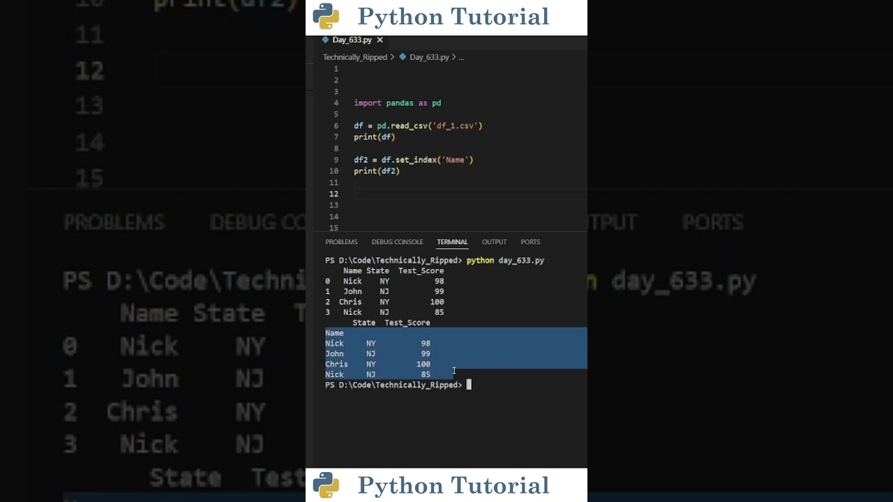 Mastering Pandas Index Reset & Setting: A Complete Python Guide 🐼