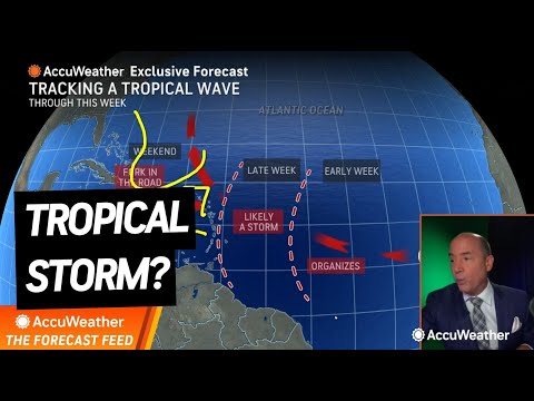 The Forecast Feed: Is a New Storm Forming in the Atlantic?