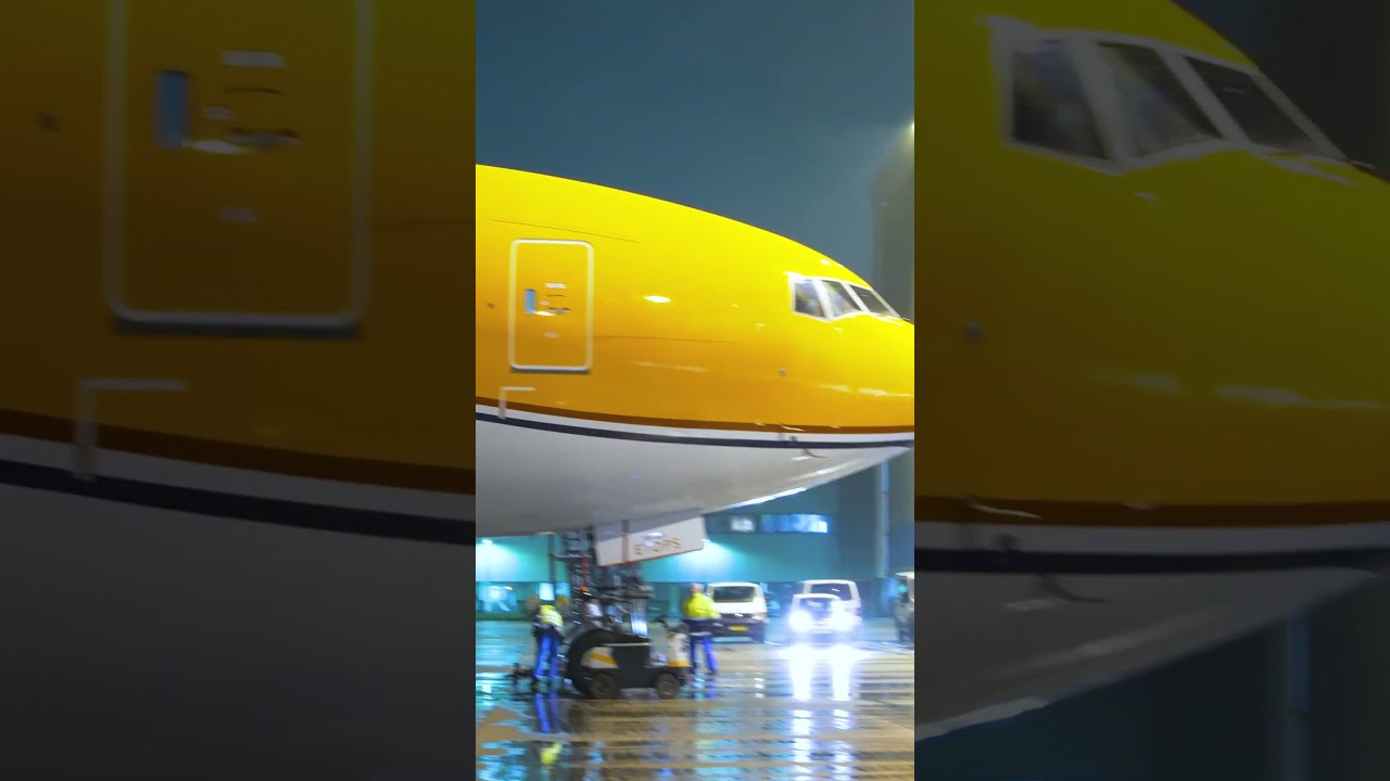 Our Orange Pride Dazzles in Vibrant New Coat! 🧡✨