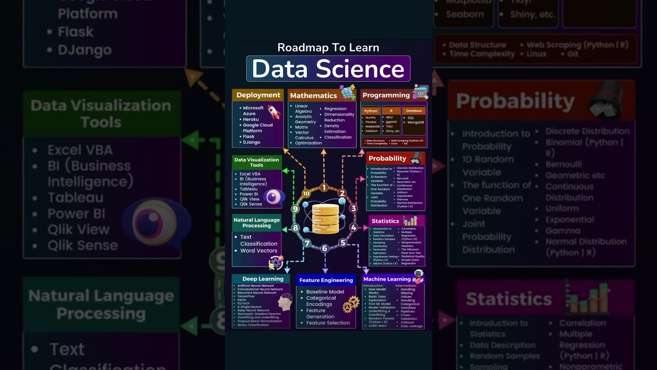 Your 2025 Data Science Roadmap: Master Skills Step-by-Step 📊