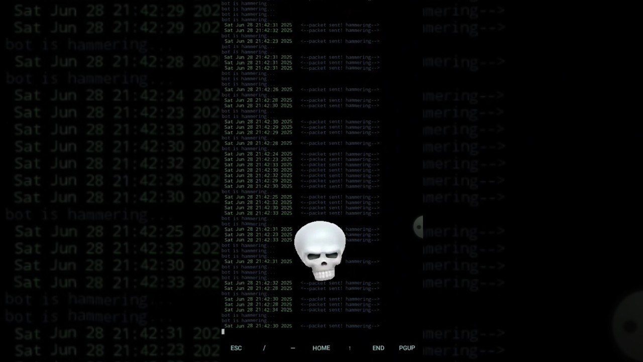 Understanding DDoS Attack Tools