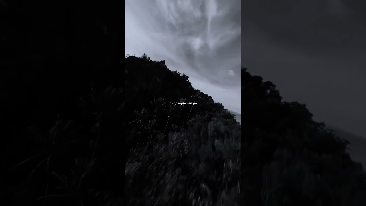 Selena Gomez - People You Know | Lyrics & Aesthetic 🎶