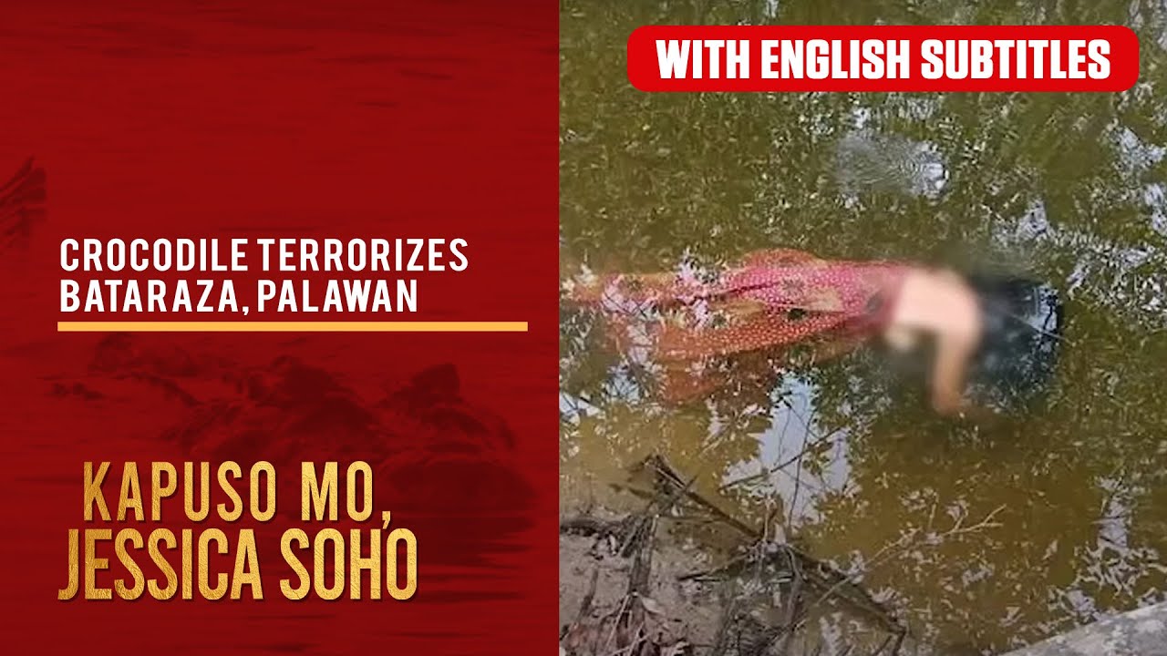 Crocodile Terrorizes Palawan Town 🐊 | Shocking Serial Killer Mystery Unfolds