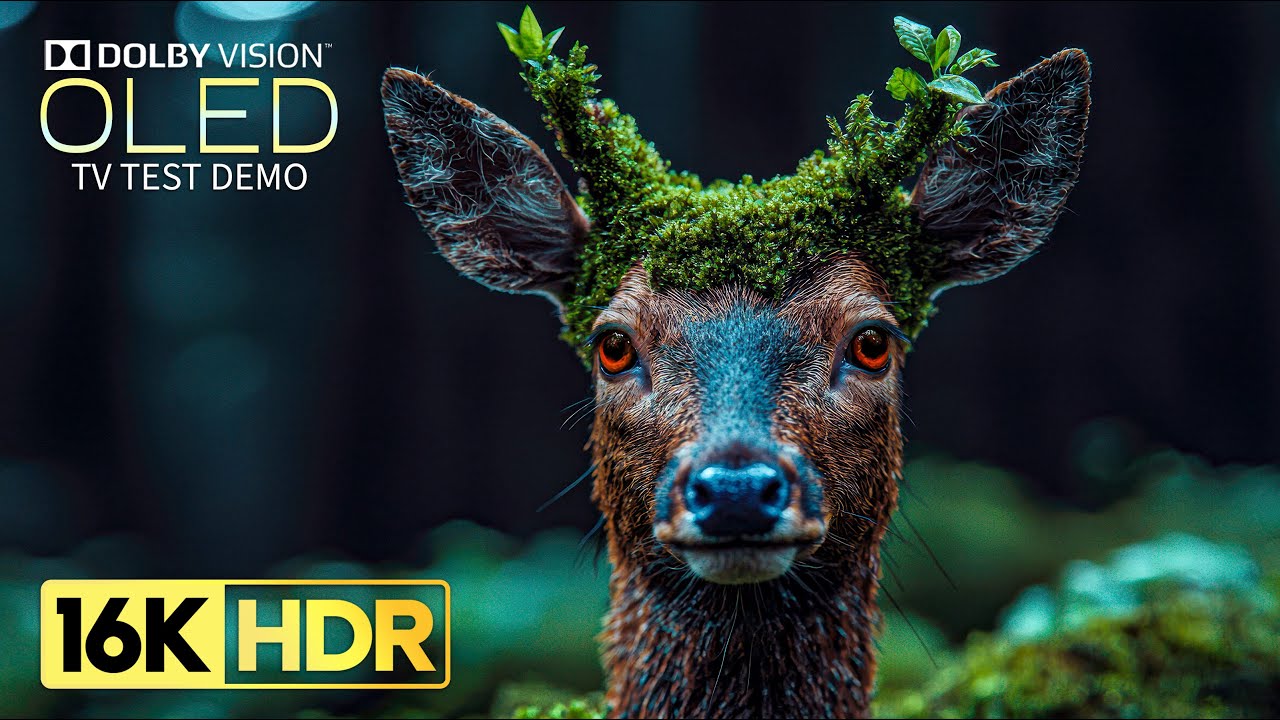 OLED Test Demo: 16K UHD, 120fps & Dolby Vision