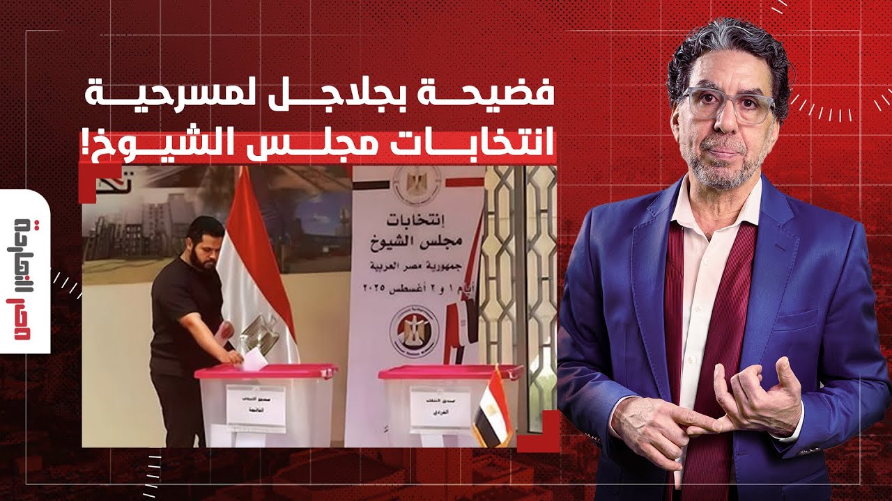 المصريون بالخارج يفضحون انتخابات الشيوخ 🚫