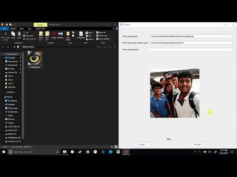 Image Encryption using MATLAB demo
