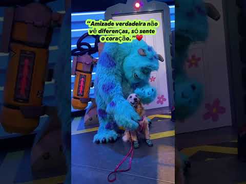 Amizade no reino animal #maedepet #animais #cachorro