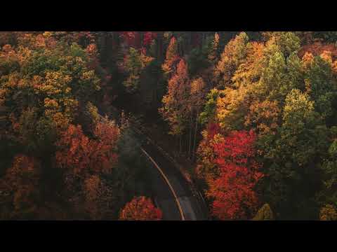 [𝙋𝙡𝙖𝙮𝙡𝙞𝙨𝙩] 가을 클래식 | 쇼팽, 드뷔시, 리스트, 노르웨이 숲