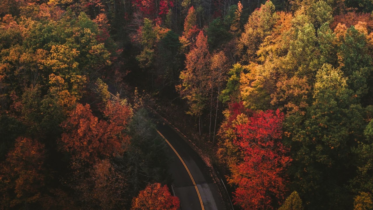 🍂 가을 감성 클래식 피아노 모음 | 쇼팽, 드뷔시, 리스트, 노르웨이 숲
