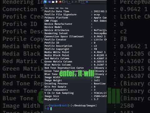 Analyzing image file in linux #kalilinuxtools