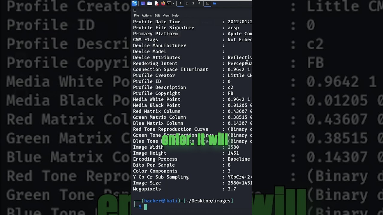 How to Analyze Image Metadata Using ExifTool in Kali Linux