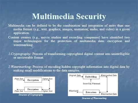 Multimedia Security: Digital Image and Video Watermarking