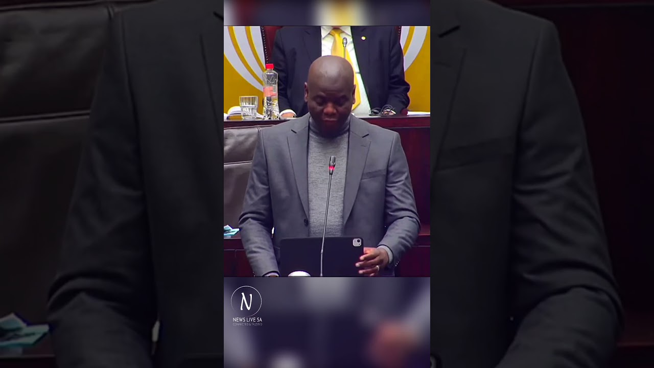 John Hlophe's Loyalty to Zuma and Connection to Lamola Family Business