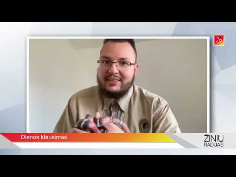 „Dienos klausimas“: Kam pavojingas gyvatės įkandimas, o kam – ne?