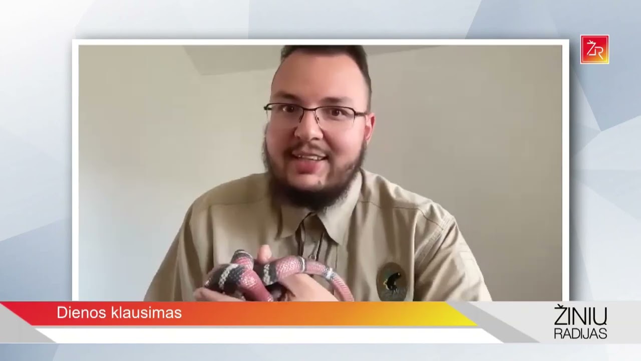Dienos Klausimas: Kada Gyvatės Įkandimas Yra Pavojingas ir Kada Ne? 🐍