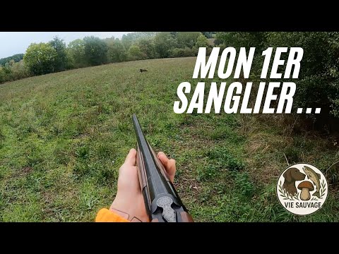 CHASSE SANGLIER : Mon premier tir sur un sanglier