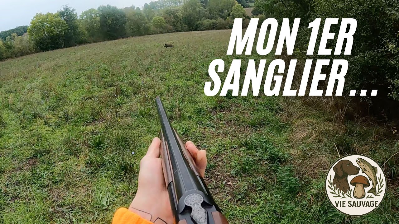 Chasse au Sanglier : Mon Premier Tir et Analyse 📹