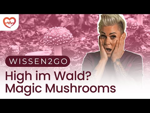 KEINE MACHT DEN DROGEN I DOC CARO