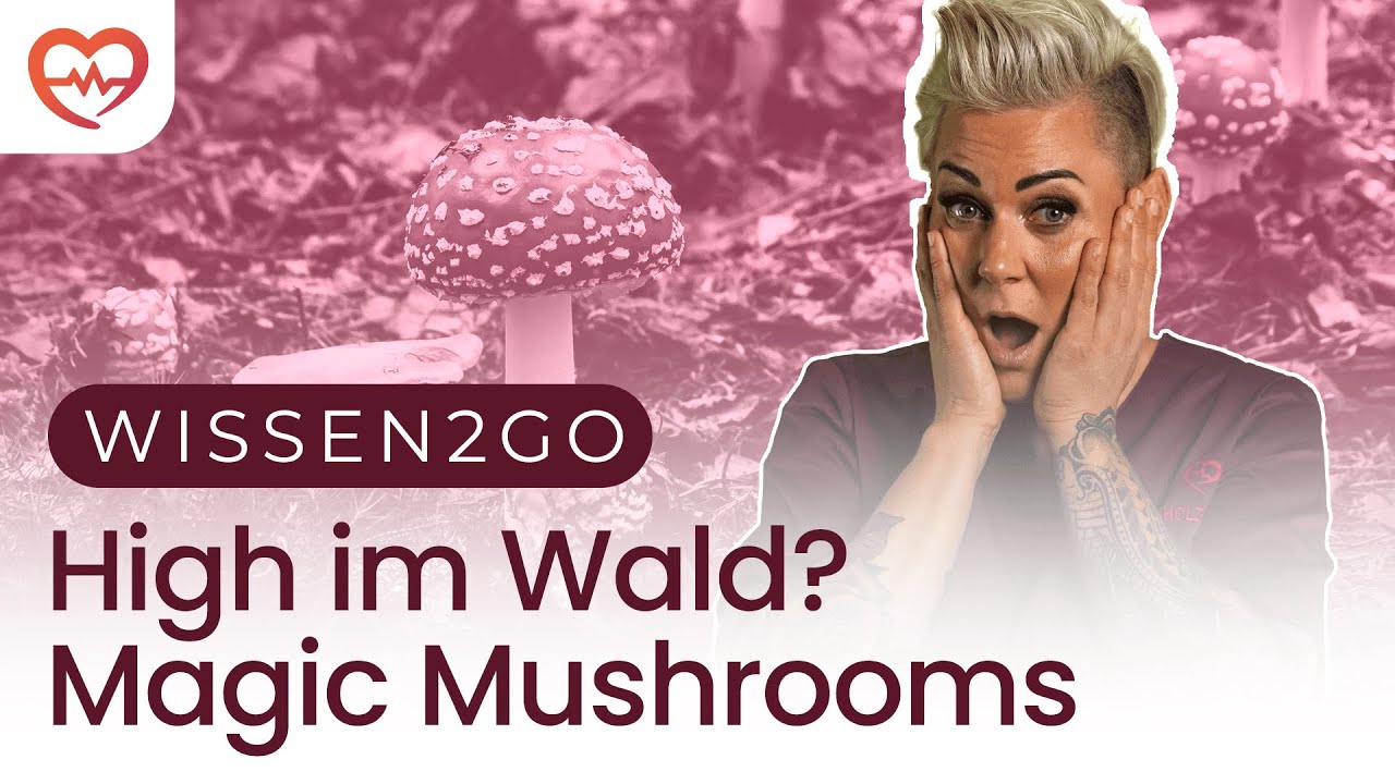 Keine Macht den Drogen 🚫 – Warum du sie meiden solltest