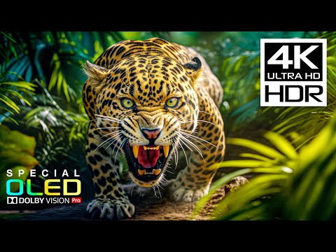 Incredible 4K HDR Dolby Vision | 4K Nature Videos with Peaceful Music