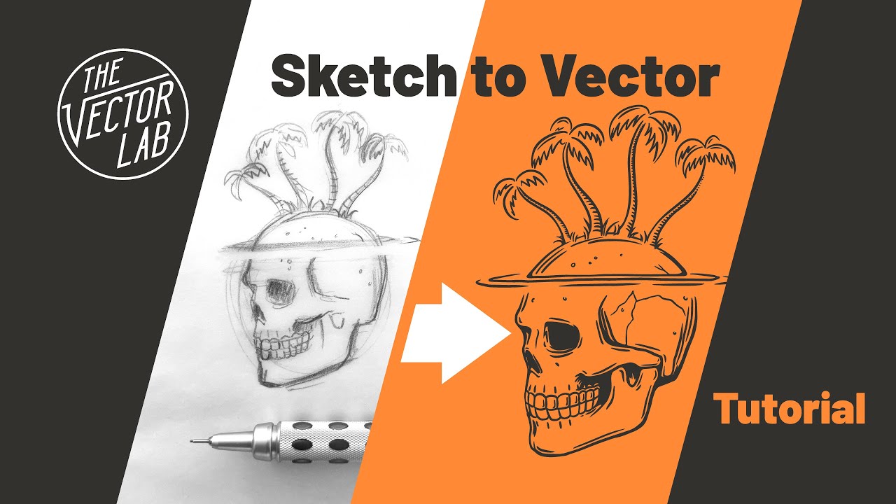 Convert Drawings to Vector Art in Illustrator & Procreate