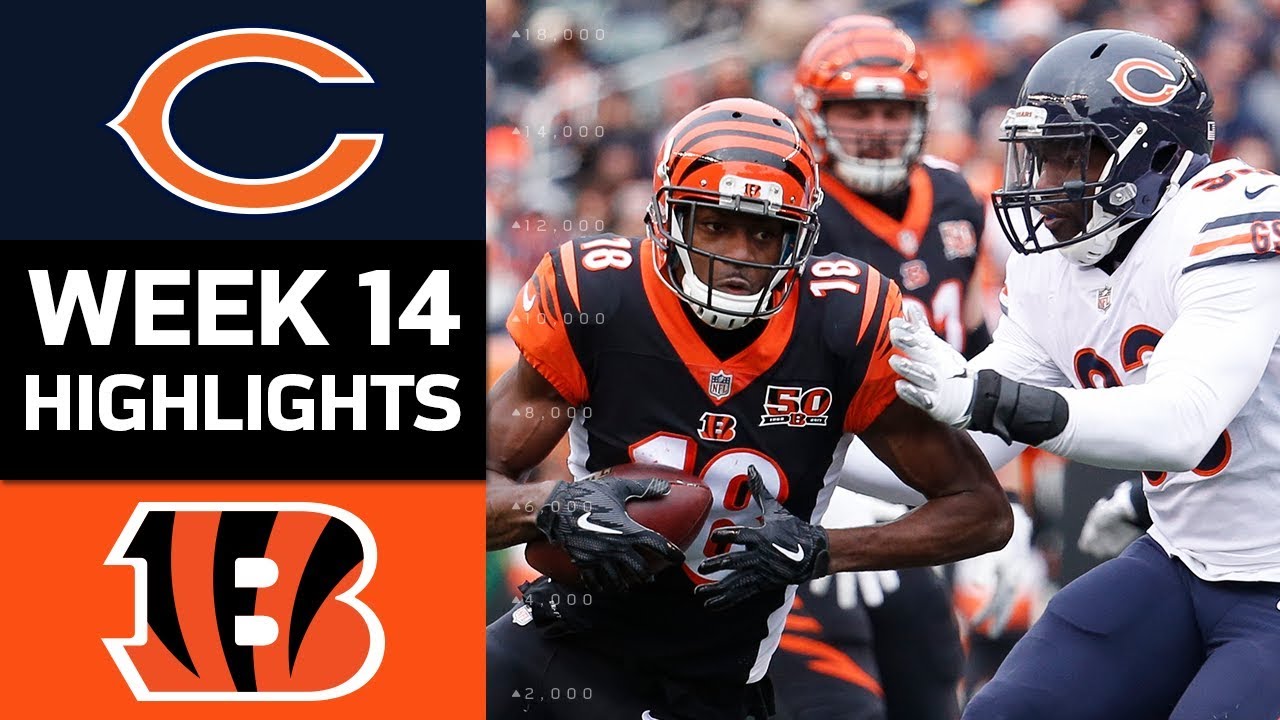 Bears vs. Bengals NFL Week 14 Highlights 🏈