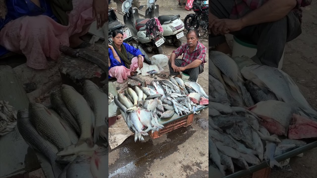 Dharavi: The Heart of Mumbai and the World's Largest Slum