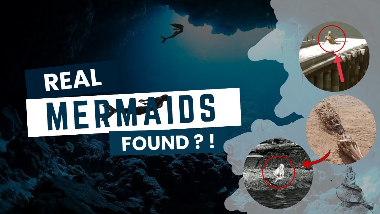 Unbelievable Real Mermaid Sightings 🌊