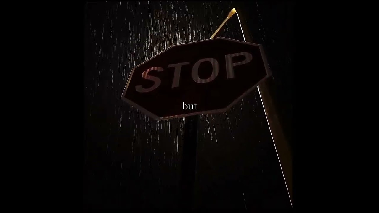 Wildflower by Billie Eilish Lyrics 🌸