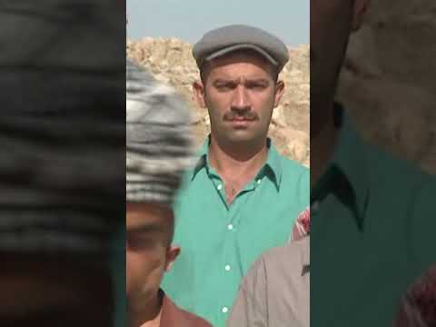 الفاجعة - فيلو جوليزار #shorts @atvarabic