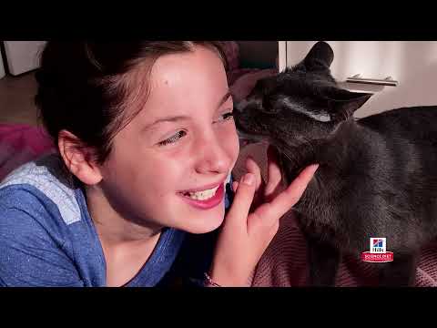 Hill’s Science Diet: Science Did That