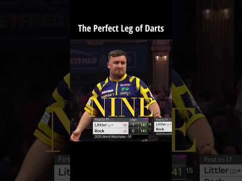 The most perfect Leg of darts by Luke Littler