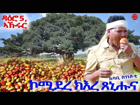 ህድሞና - ሕጂኸ ናበይ - ተድሮስ ኣብ ዓቴላ ከባቢ ዳዕሮ 5 ከመይ ወዓለ፧ | ኮሚደረ ክእረ ጸኒሑና - New Eritrean Show 2025