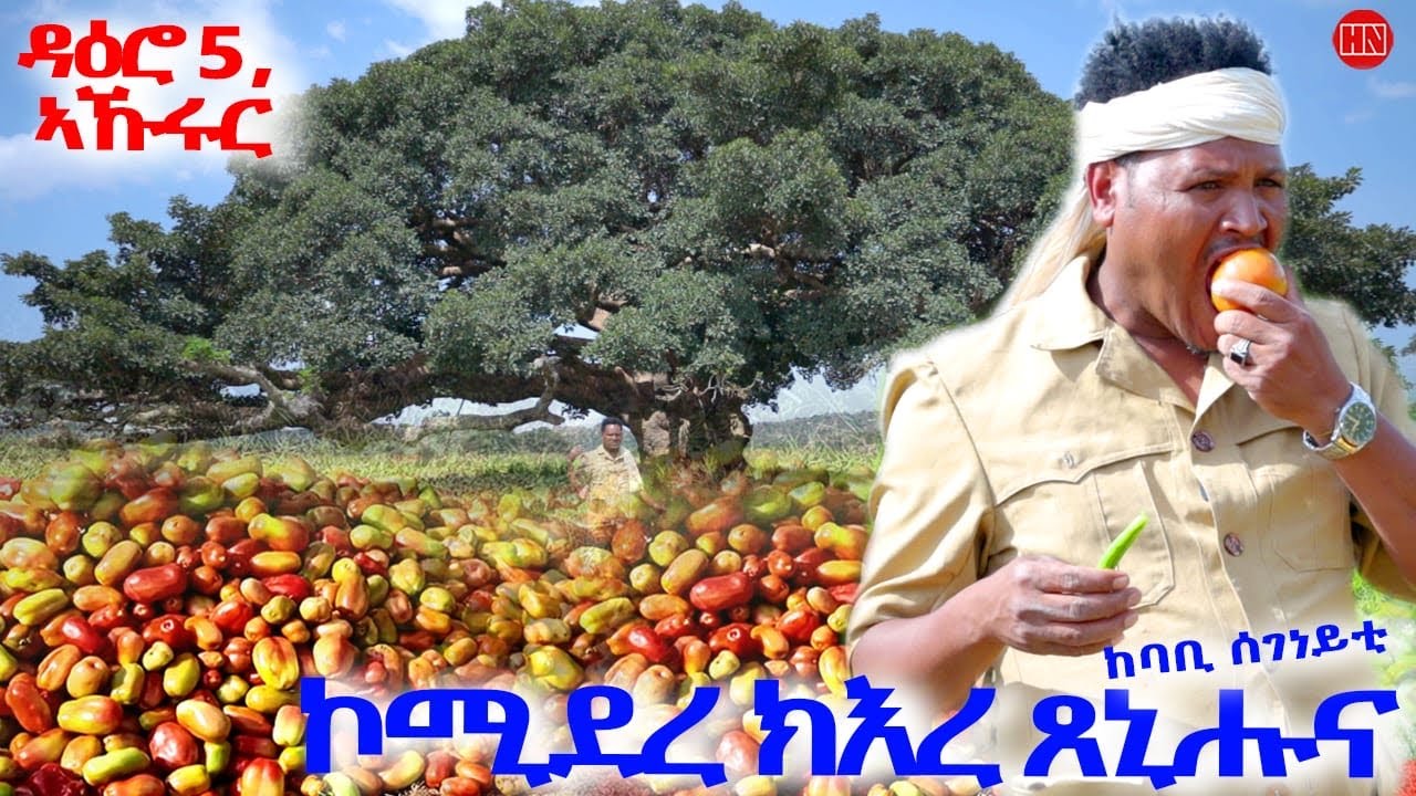 ህድሞና - 2025 ኤርትራዊ ምርጫ ተደራሽ 🎬