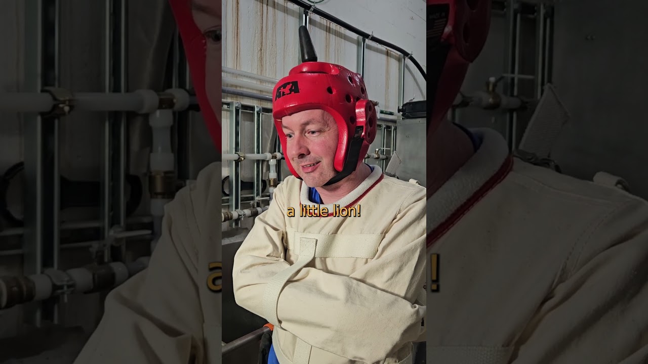 Flush Cutters #chrisboden #comedy #tools #electrician #apprentice #educational #zipties #tails