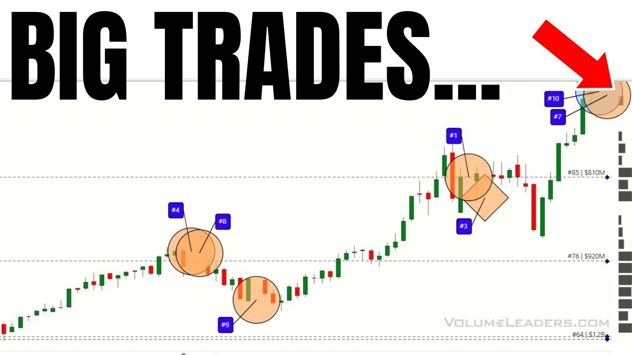 Wall Street's Proven Strategy: Don't Miss Our Brisbane Seminar & Flash Sale! 📈