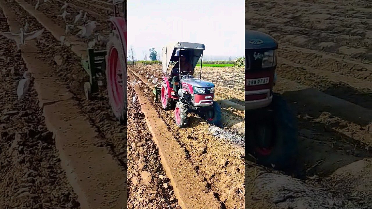 Mahindra Jivo 305 on Ratoon Manager 🚜