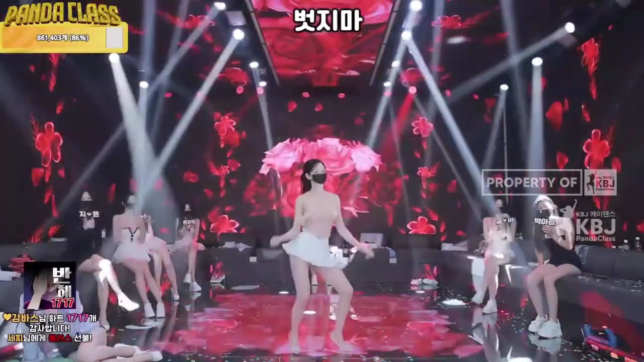 Korean Panda Live Dance Performance 🐼