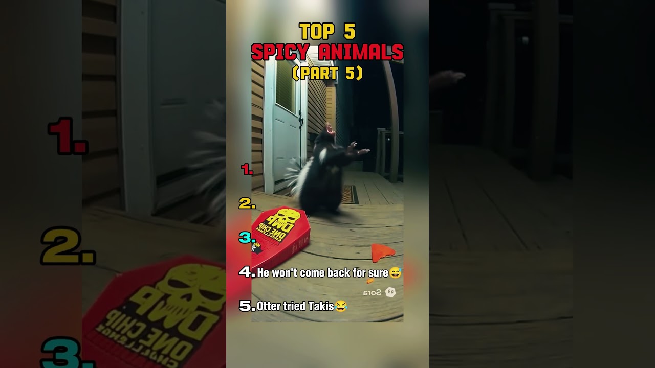 Part 5 Top 5 spicy eating animals sora 2 videos #sora #funny #ranking #animals