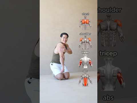 📌UPPER BODY AT HOME | 4 Bodyweight Exercises👌